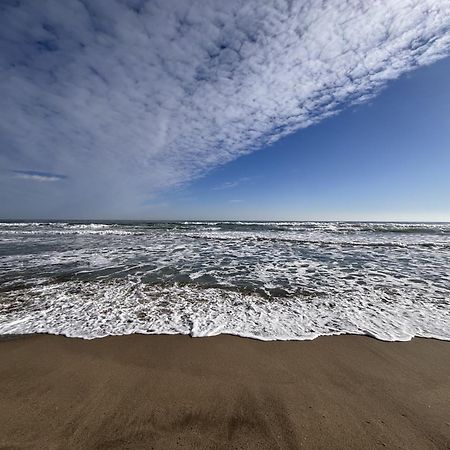 Studio Calme Et Moderne A 300M De La Plage -1- Canet-en-Roussillon Εξωτερικό φωτογραφία